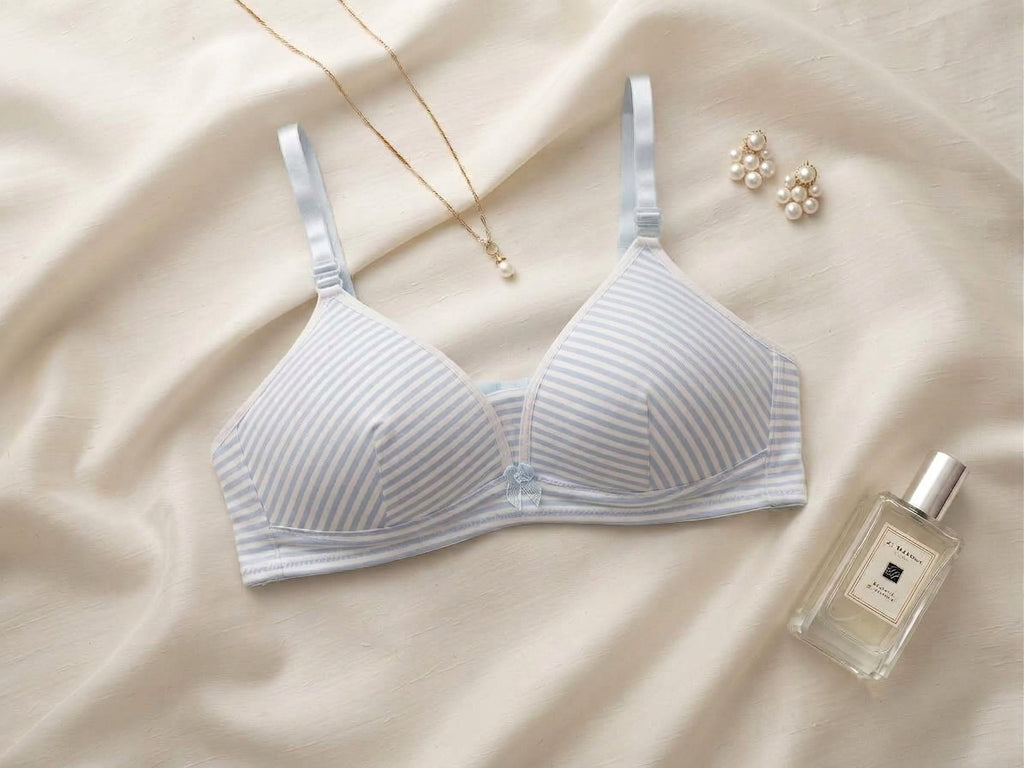 Ultra-Soft Sky Blue Striped T-Shirt Bra