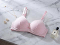 Ultra-Soft Pink Striped T-Shirt Bra